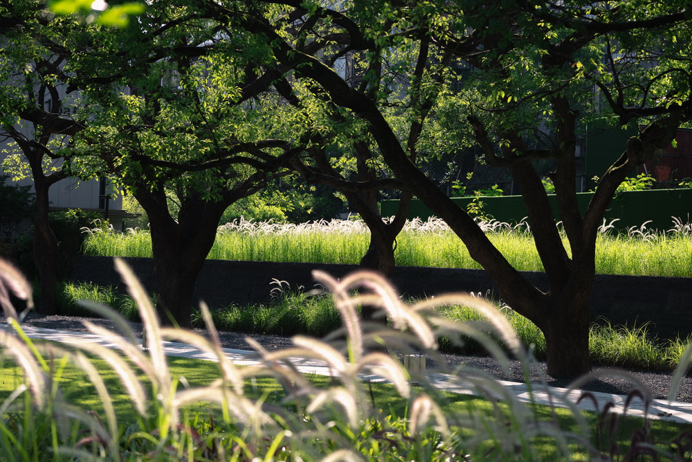 Holi河狸-景观摄影-13.jpg